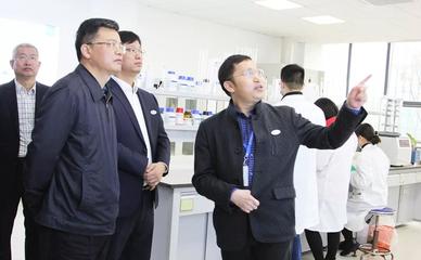 湖南省生態(tài)環(huán)境廳黨組書記、廳長鄧立佳一行來永清環(huán)?？疾煺{(diào)研