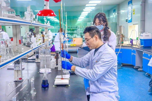 重慶潼南 加快建設(shè)成渝中部重要人才集聚地