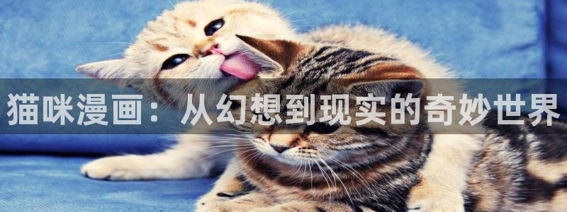 汗汗漫画入口sss：猫咪漫画：从幻想到现实的奇妙世界
