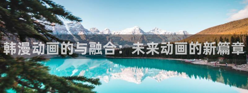 汗汗漫画入口：韩漫动画的与融合：未来动画的新篇章